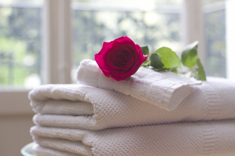 hotel-STE ANASTASIE SUR ISSOLE-min_towel_rose_clean_care_salon_spa_white_bath-731641